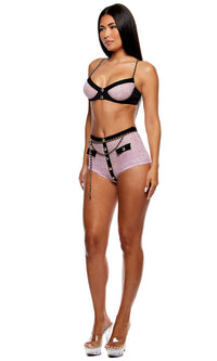 Keep It Classy Mesh Bra and Brief Lingerie Set - Mauve